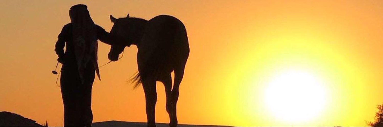 AlotebiMohd's profile banner image