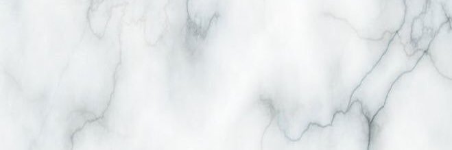Whitney Murphy banner