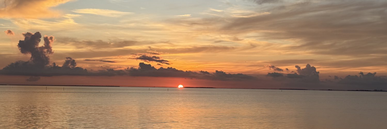 strosfan99's profile banner image