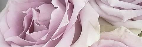 ms_brielle's profile banner image