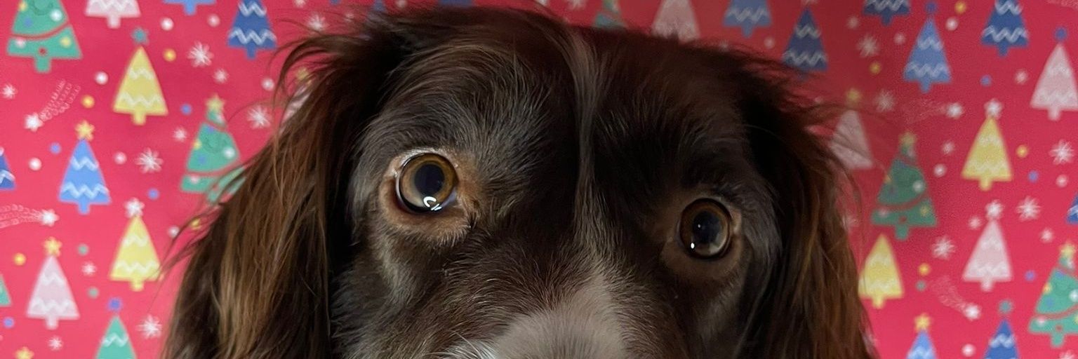 Lukeyja03's profile banner image