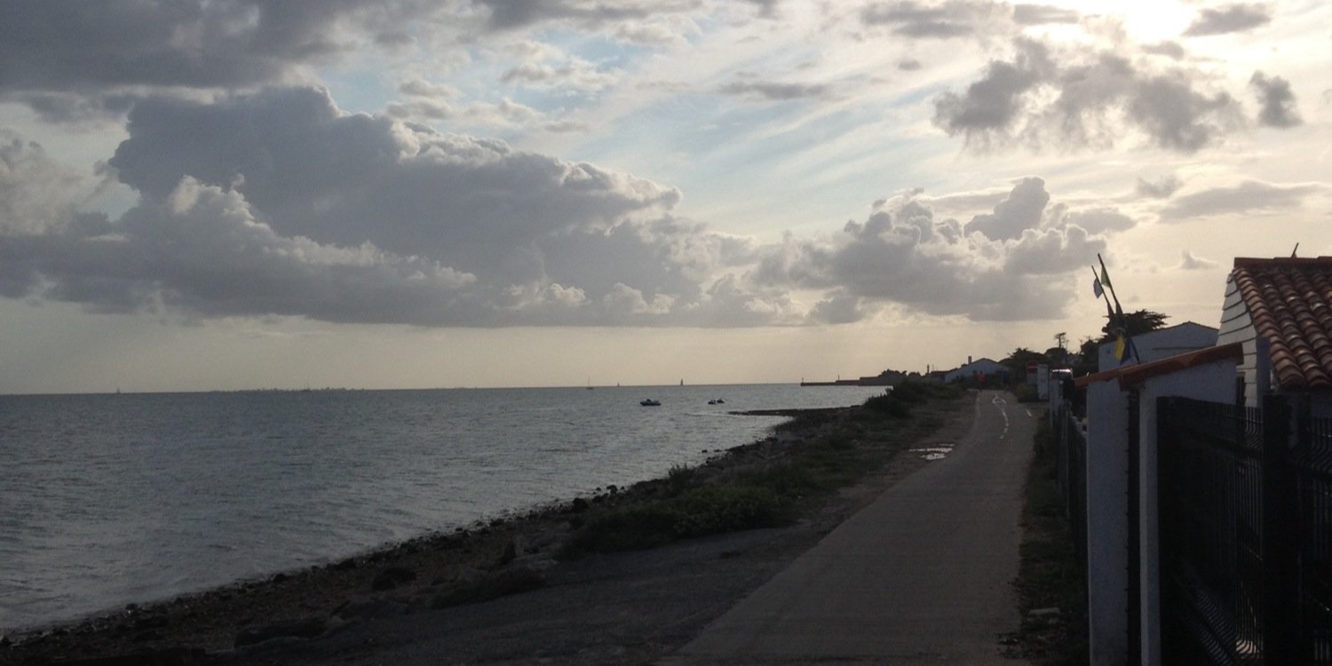 Noémie Schulz banner