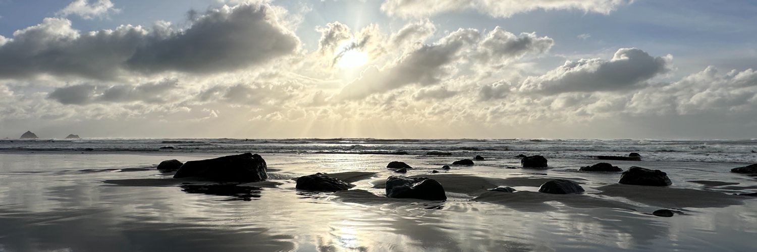 ✨ Carly Peart 🌟 banner