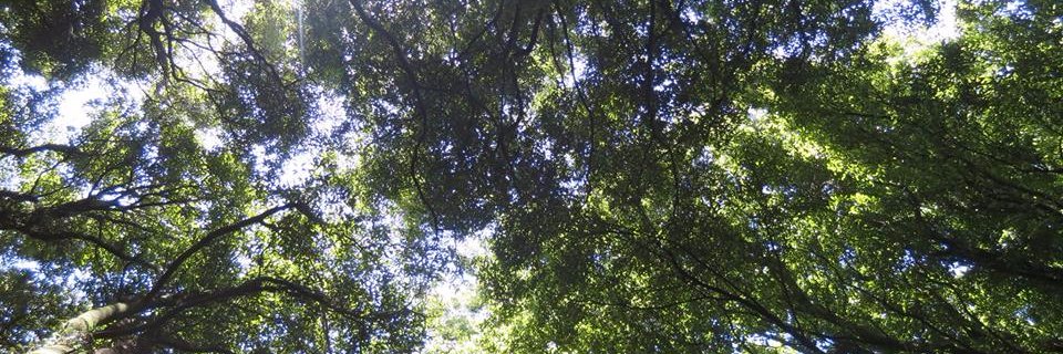 JessicaEustace's profile banner image