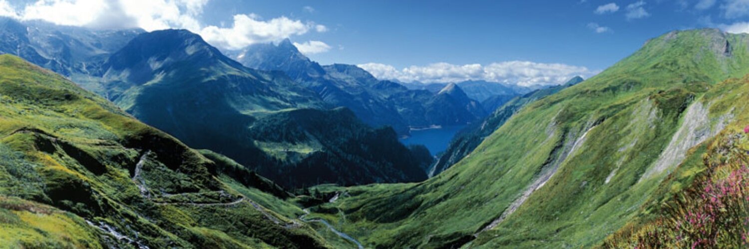 _ticino's profile banner image