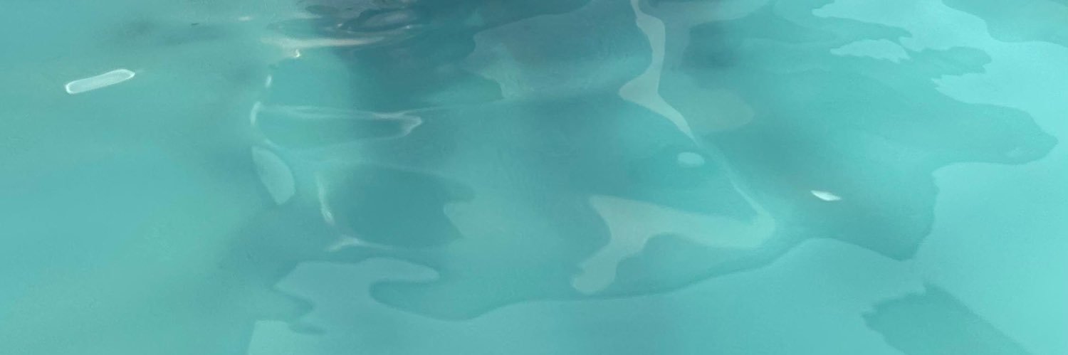 Kauannffc's profile banner image