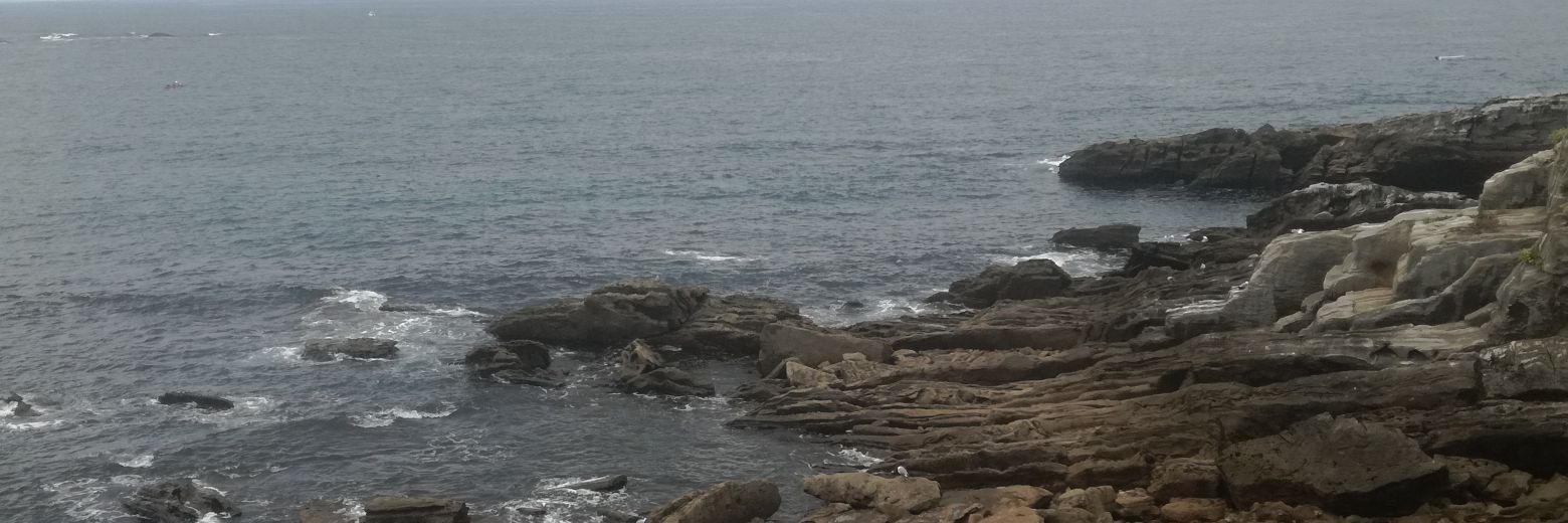 Soyel13's profile banner image
