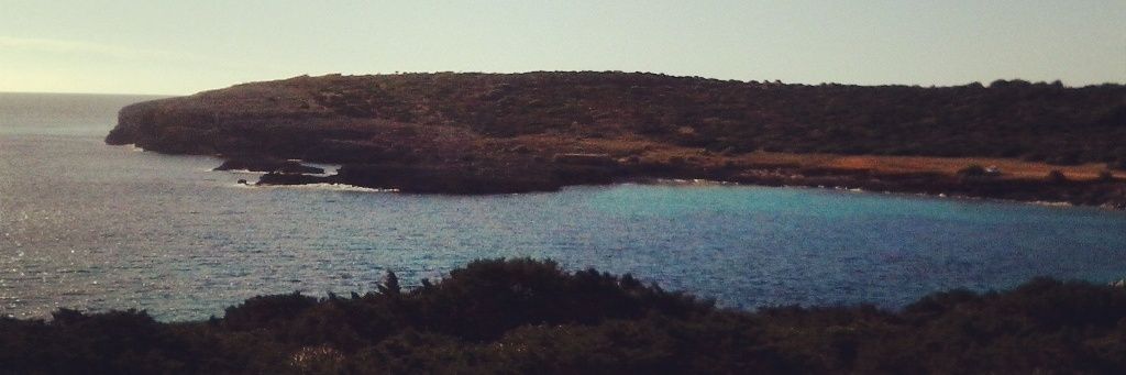 _NeUs_m_'s profile banner image