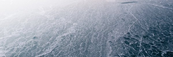 msalisbu Profile Banner