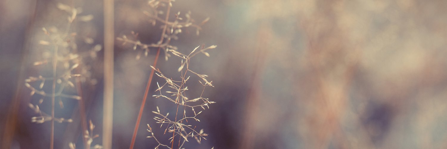 caitlynjo_'s profile banner image