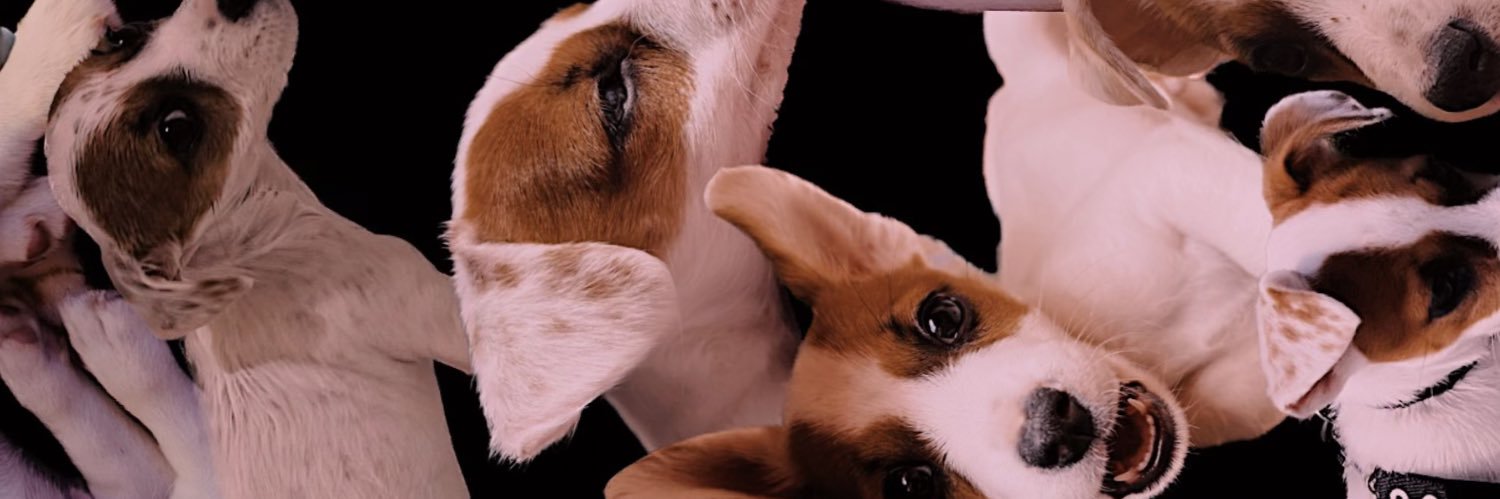 ValenPerata's profile banner image