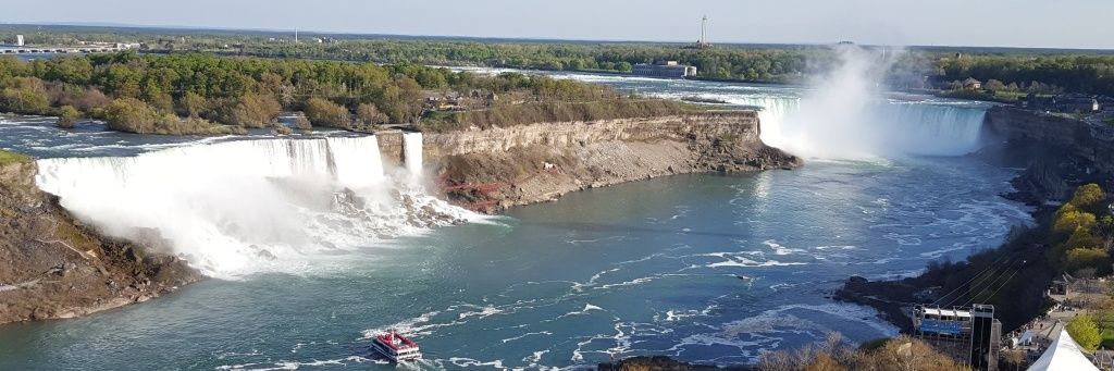 Jeff's Dad 🐝🏉🍽👨‍🍳 banner