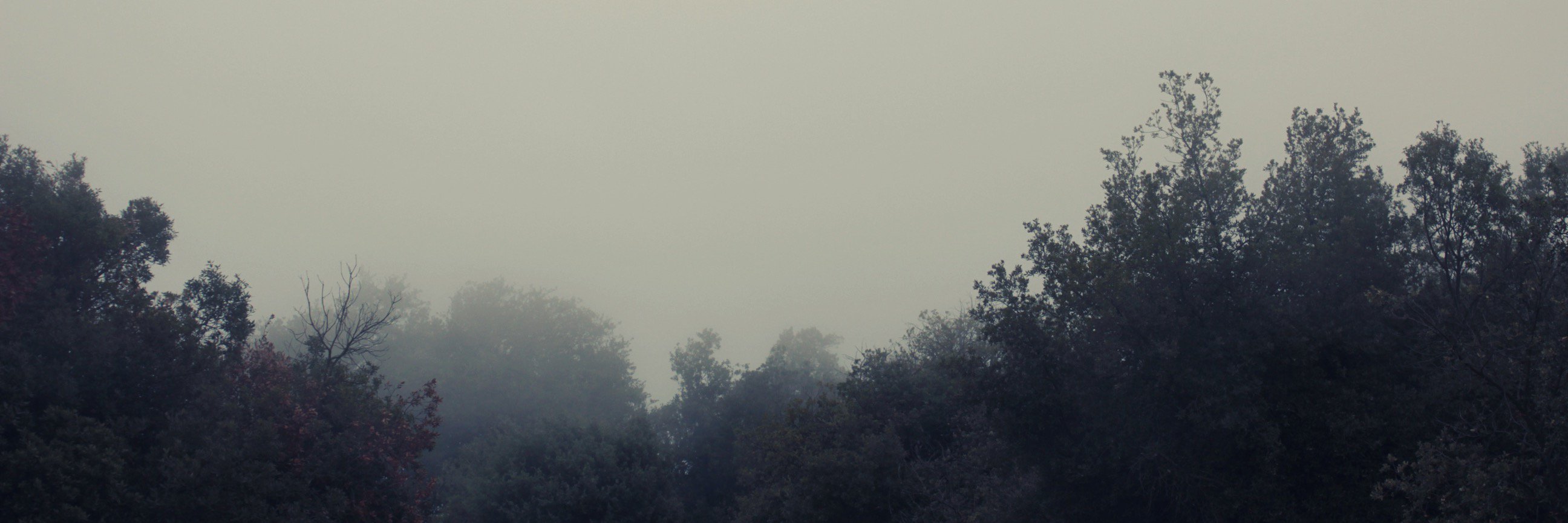 super_issue's profile banner image