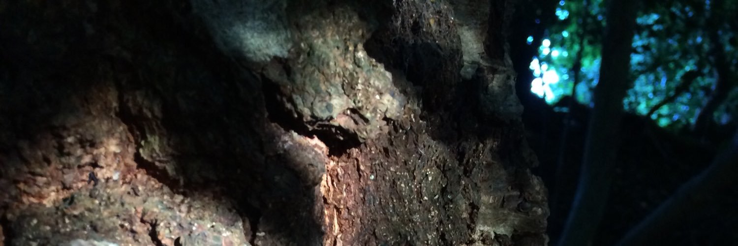 rustling1's profile banner image