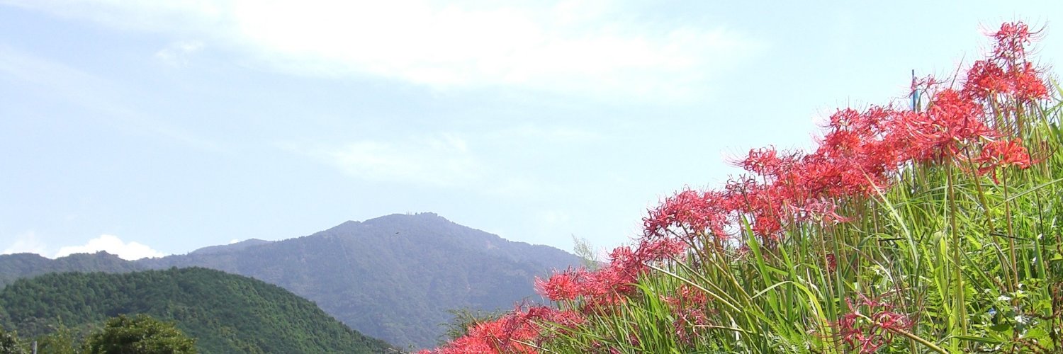 ふなぴー 🍢7⃣ banner