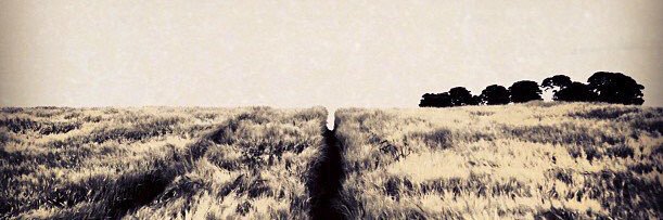 Liam McDonald banner