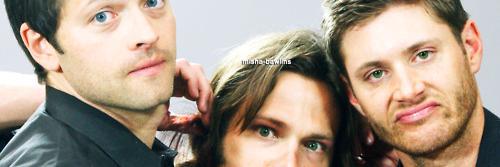 AmorWinchester's profile banner image