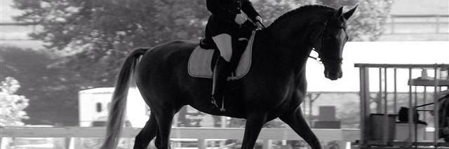 Shanon43's profile banner image