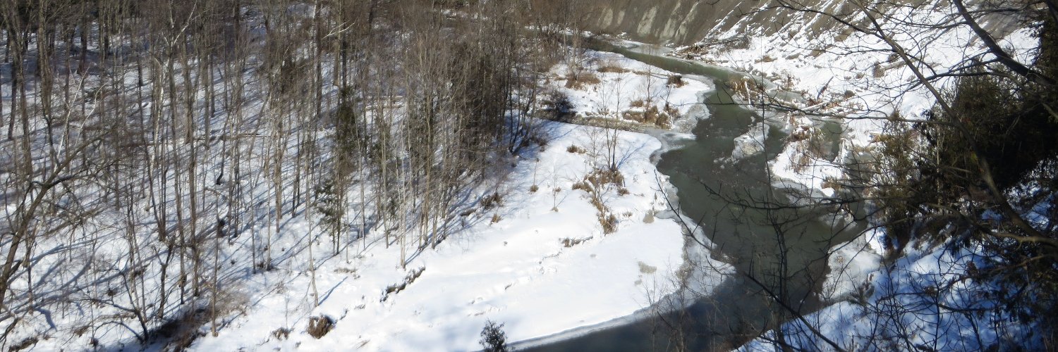 Friends of the Rouge banner