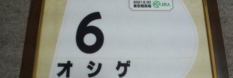 oshige4868's profile banner image
