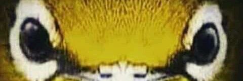 one_acc's profile banner image