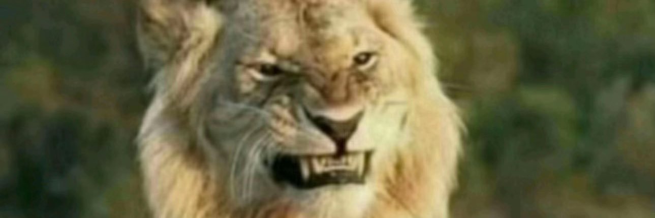 plsdontknowme78's profile banner image