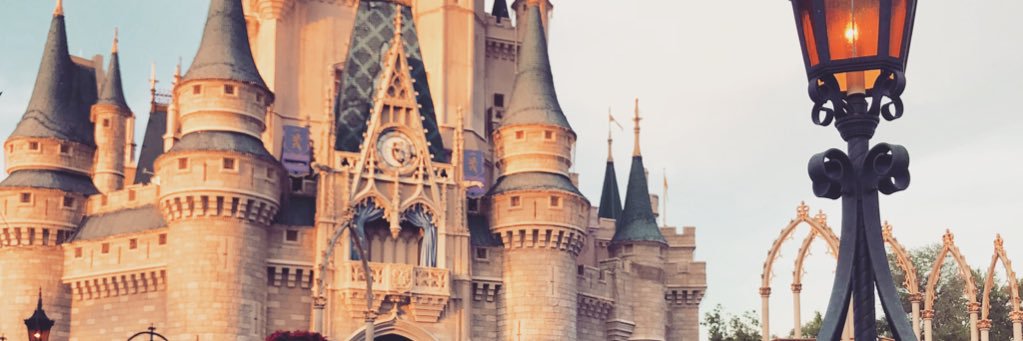 MaddyLBray's profile banner image