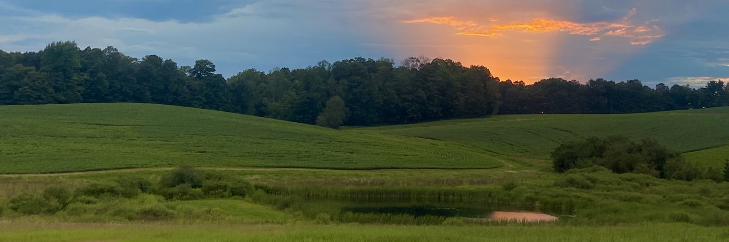AlanaCastilllo's profile banner image