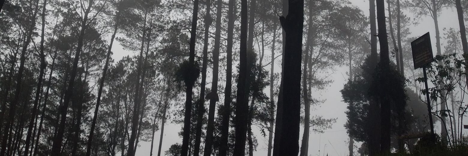 Fadlaw's profile banner image