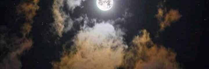 Auris_Duarte's profile banner image