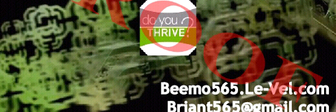 Beemo55's profile banner image