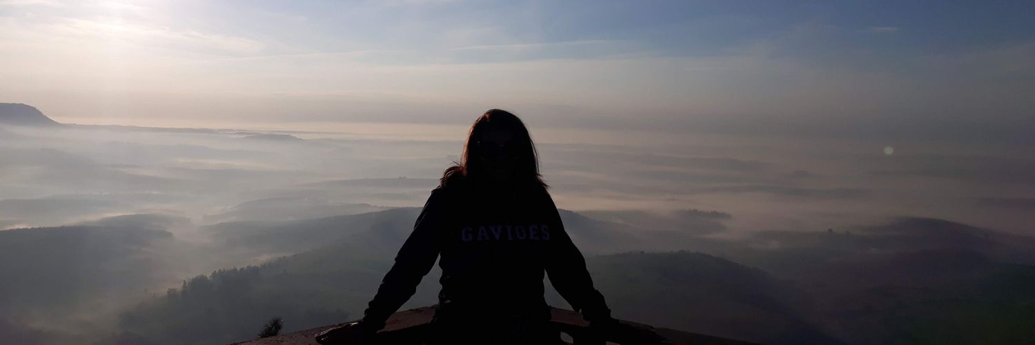 rozanavazzoler's profile banner image