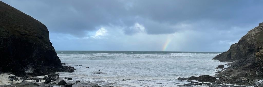 Becca Harrison banner