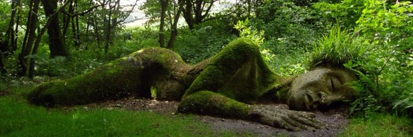 Fevvvers Profile Banner