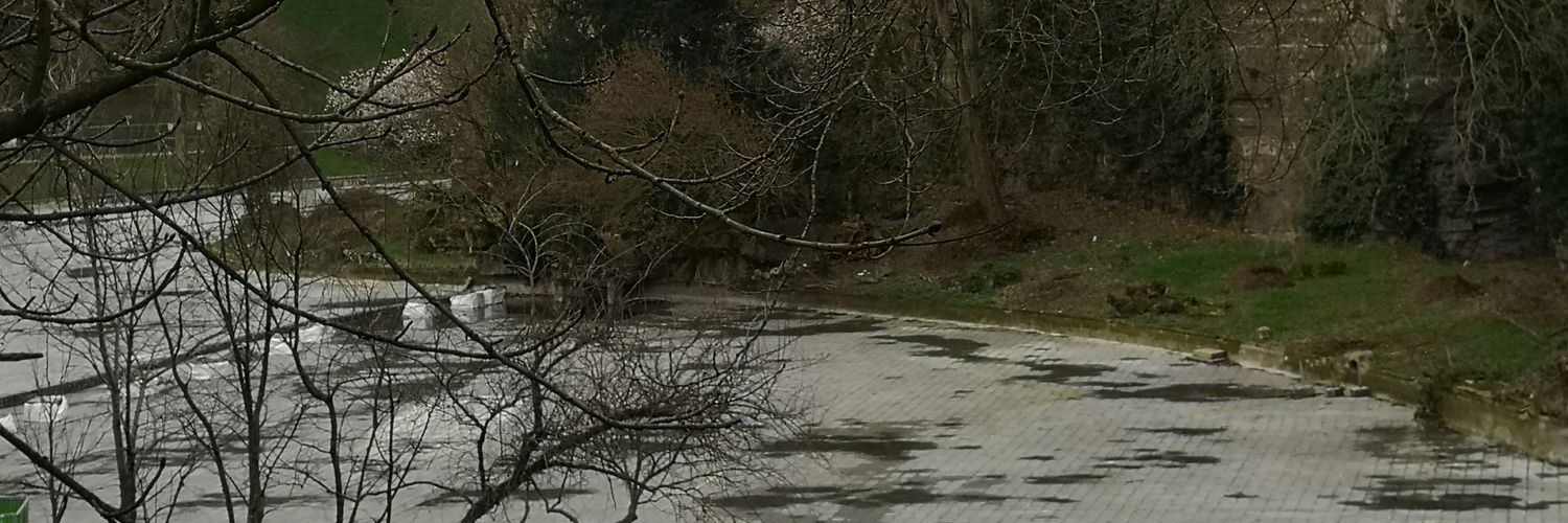 Zirothsss's profile banner image