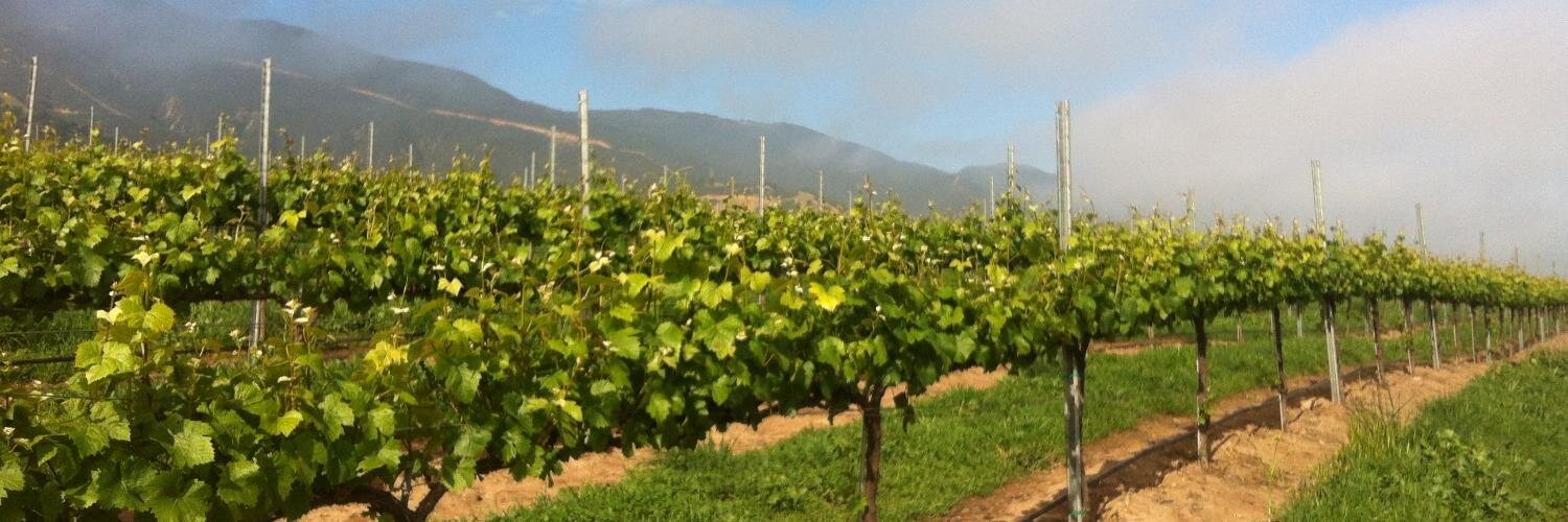 CDRWines's profile banner image
