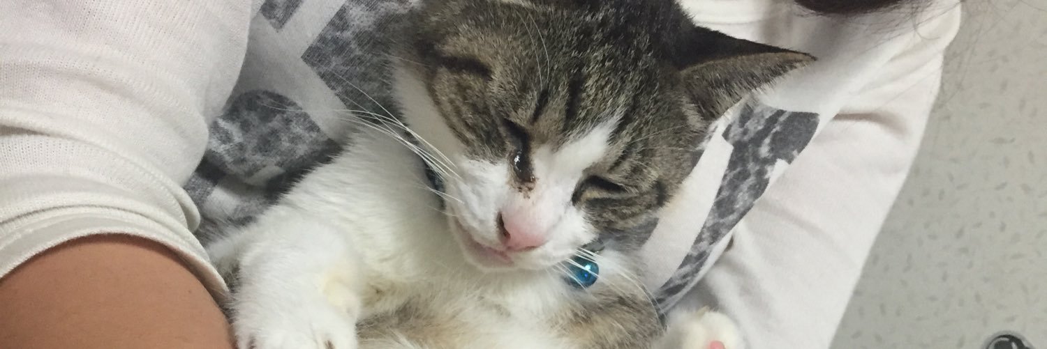 kinngyo517's profile banner image