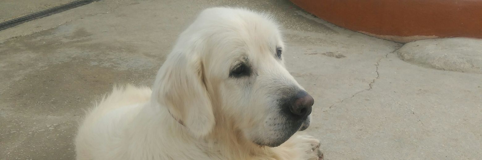 bradynerja's profile banner image