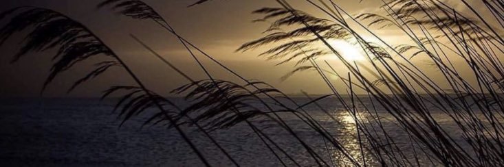 BayPortuga___'s profile banner image