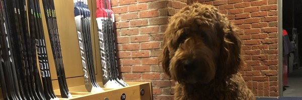 ZachWerenski Profile Banner