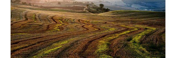 corinnadecesare Profile Banner