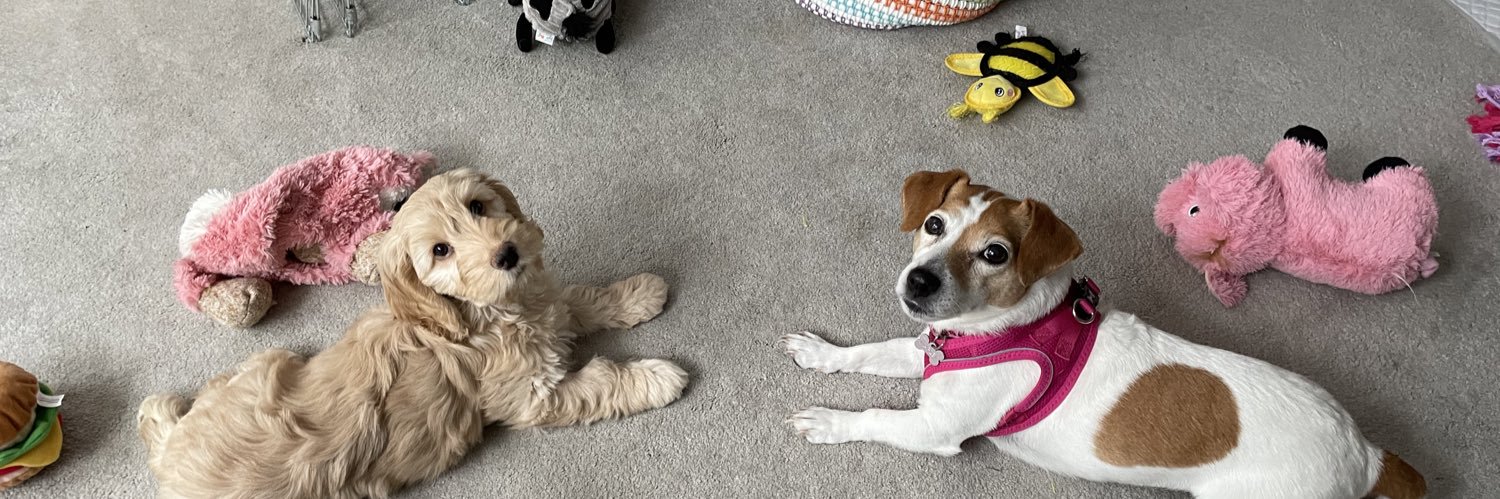 Sophie_Inu's profile banner image