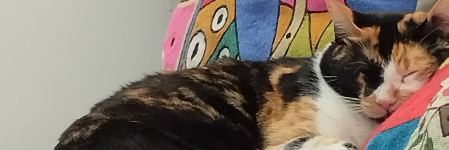 granconstanza's profile banner image