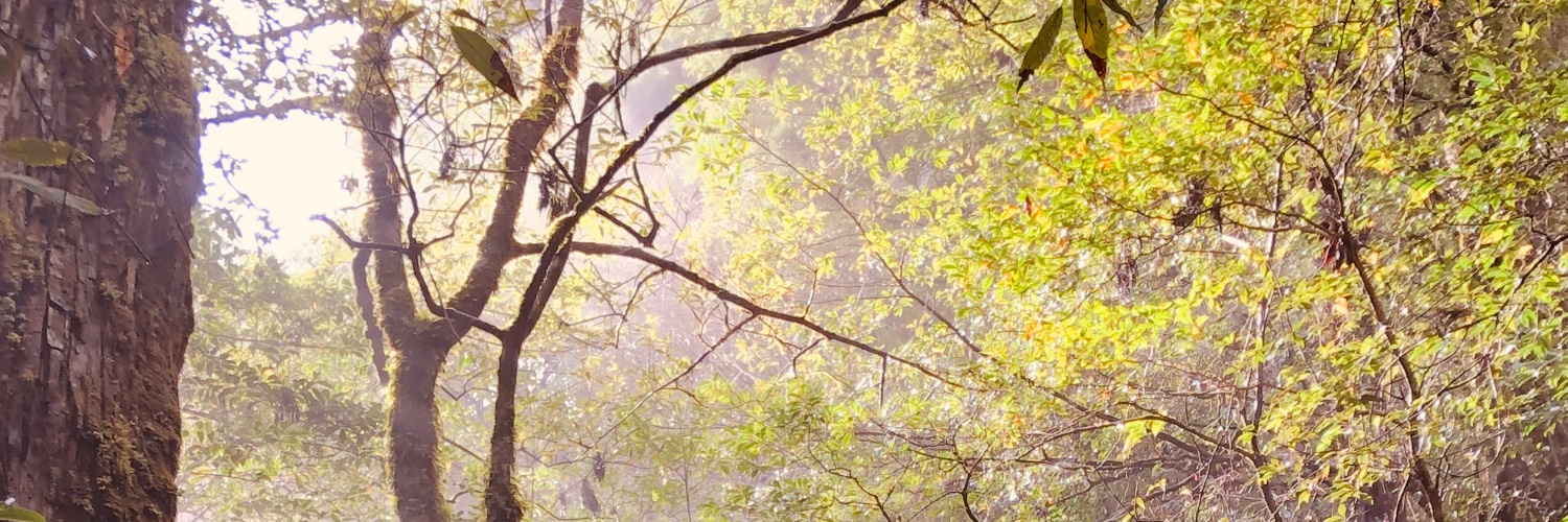 中村　ヘタオ banner