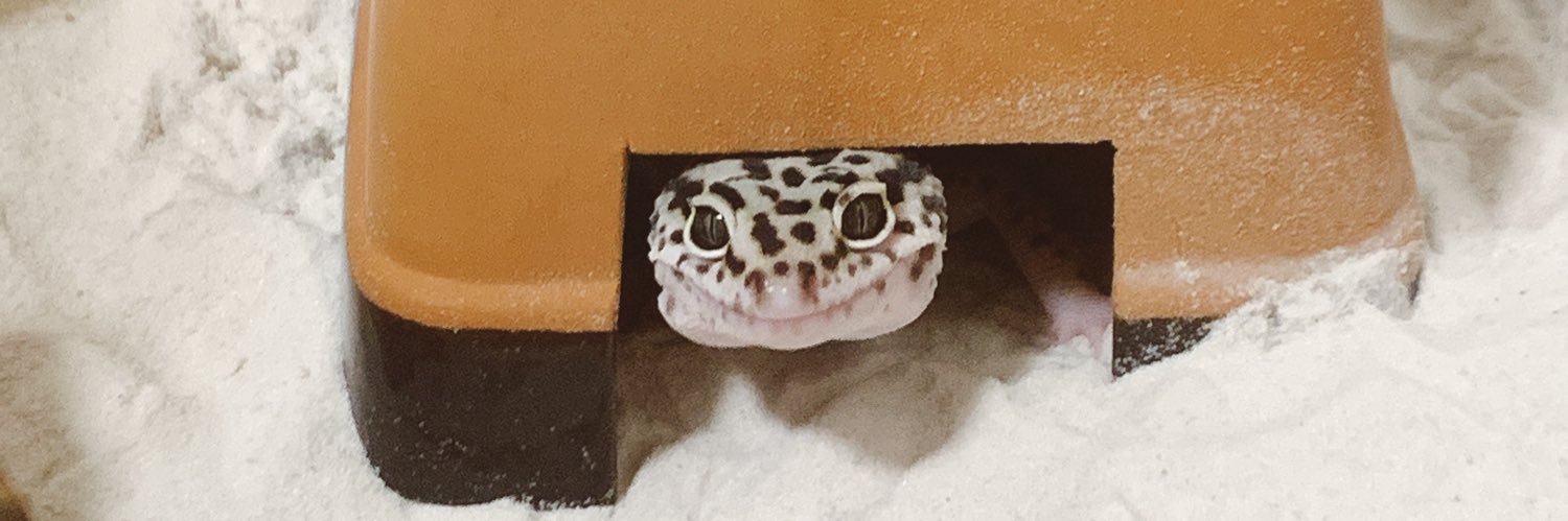 tukakooo's profile banner image
