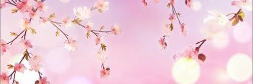 AMfcy62's profile banner image