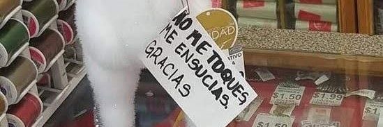cerdodemadera's profile banner image
