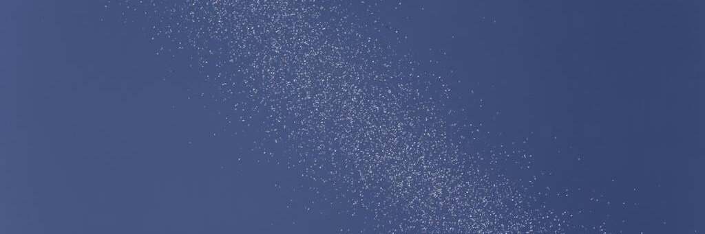 CheskyGold's profile banner image