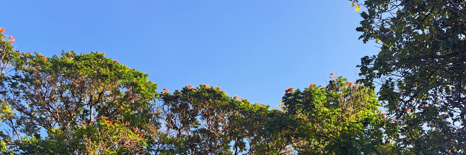 sendpats's profile banner image
