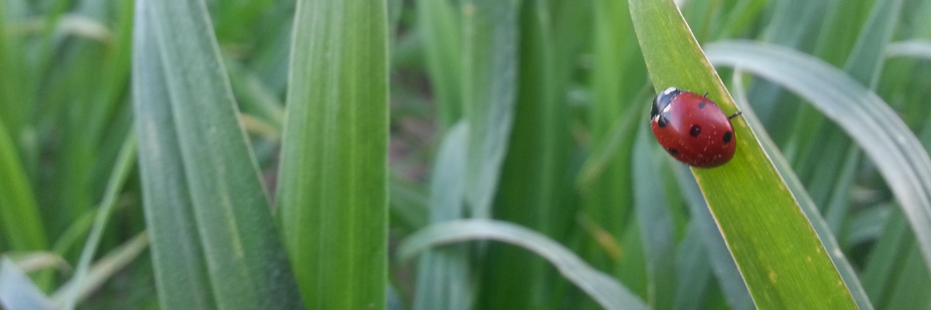 Dry_Bamba's profile banner image